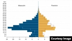 Institutul Național de Statistică- fenomenul migrației