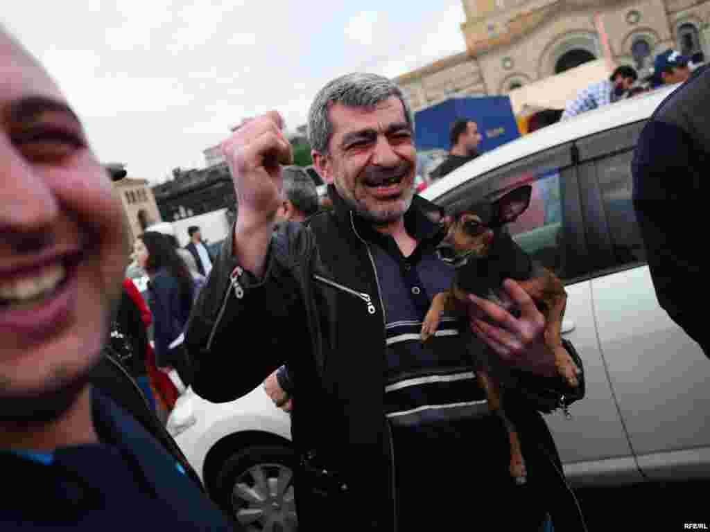 While the humans were enjoying themselves on Republic Square, the dogs were a little freaked out by the noise and crowds.