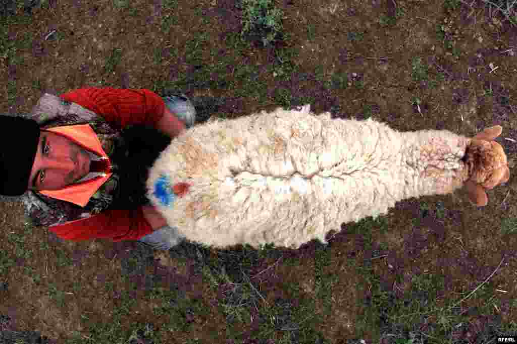 Кавказ тауларындагы борынгы Хыналык авылы #30