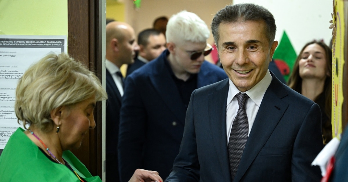 პარტიების გაუქმებაზე „ქართული ოცნების“ სარჩელი საკონსტიტუციოში შევიდა