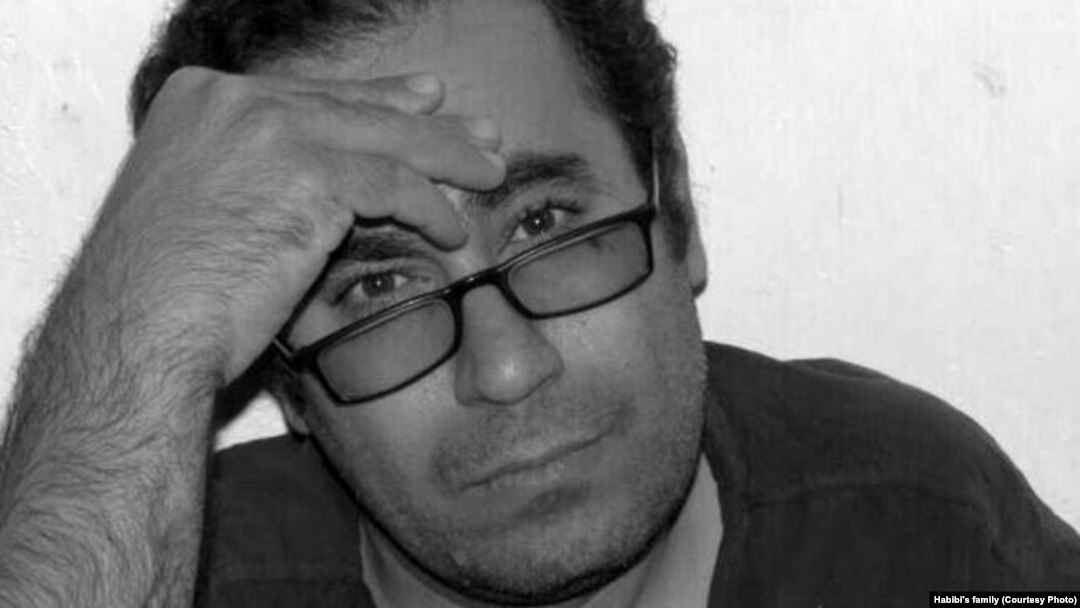 محمد حبیبی 