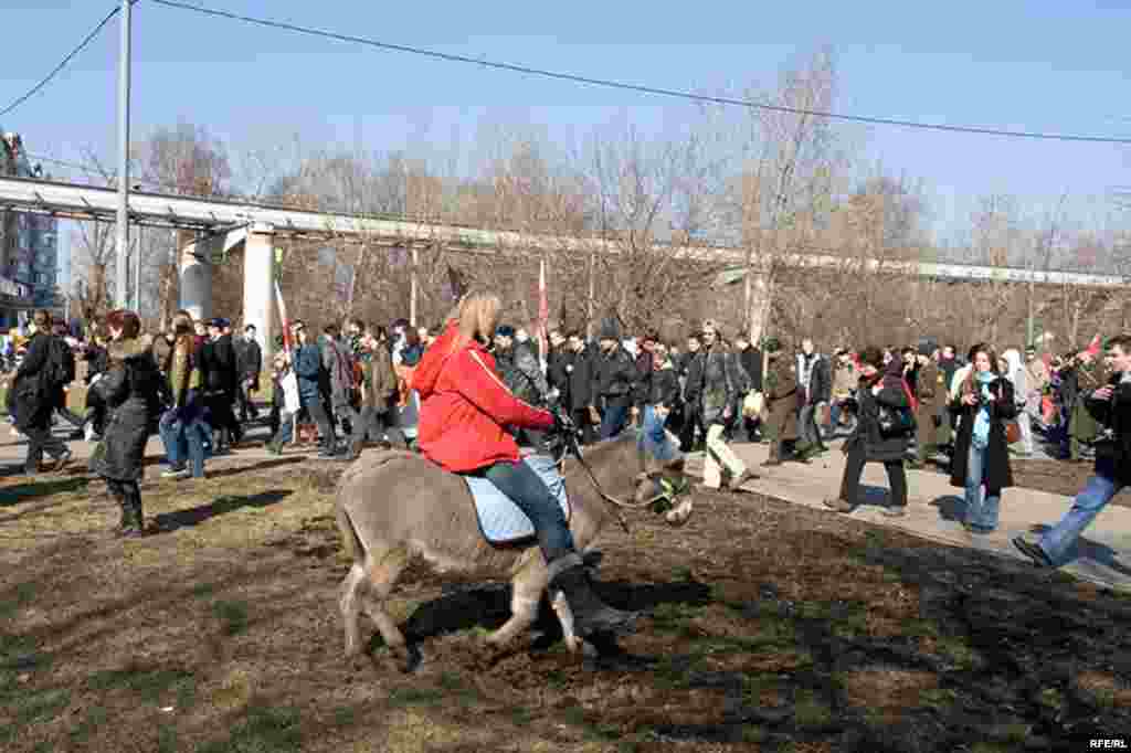 По дороге к телецентру участникам марша встертилась девушка на осле.