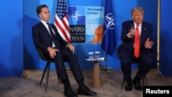 Mark Rütte və Donald Tramp