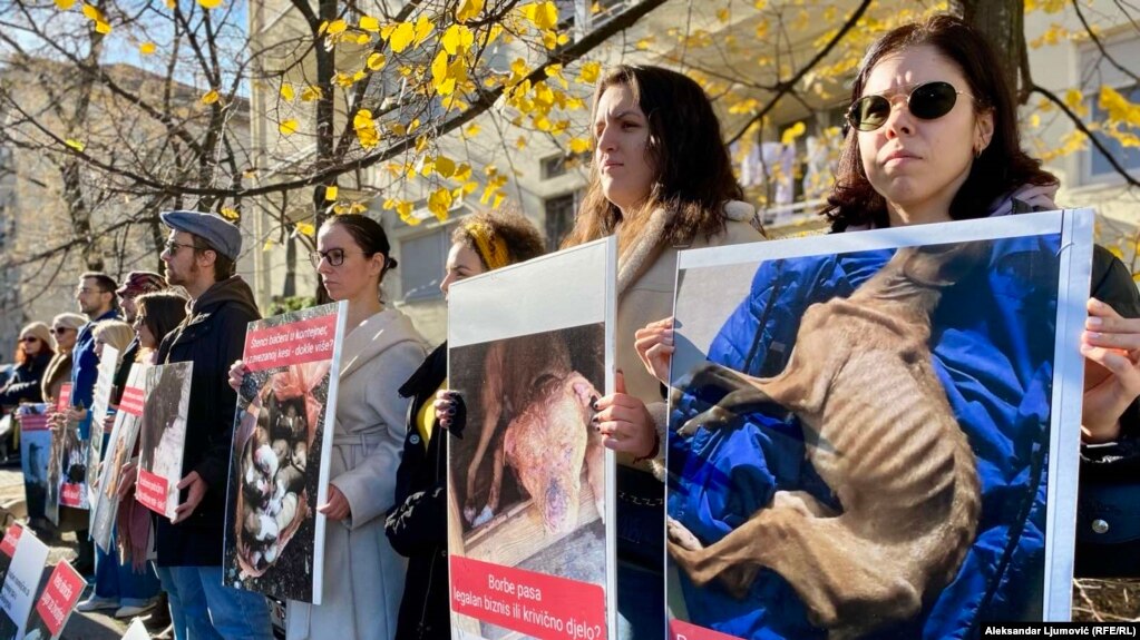 Volonteri udruženja za zaštitu životinja nose transparente na protestu ispred policije u Podgorici zbog nepostupanja te institucija u slučajevima zlostavljanja životinja, Crna Gora, 2. decembra 2024.