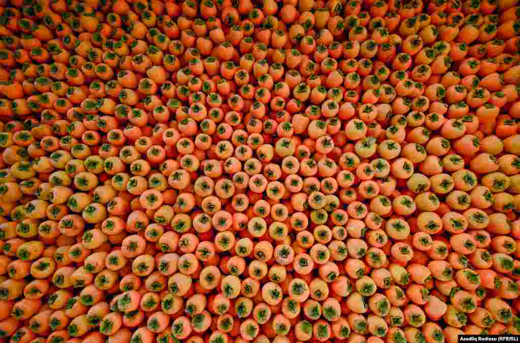 Bu il məhsulu alverçilərə satmaq yox, bazara özü çıxarmaq istəyir kəndlilərin çoxu.