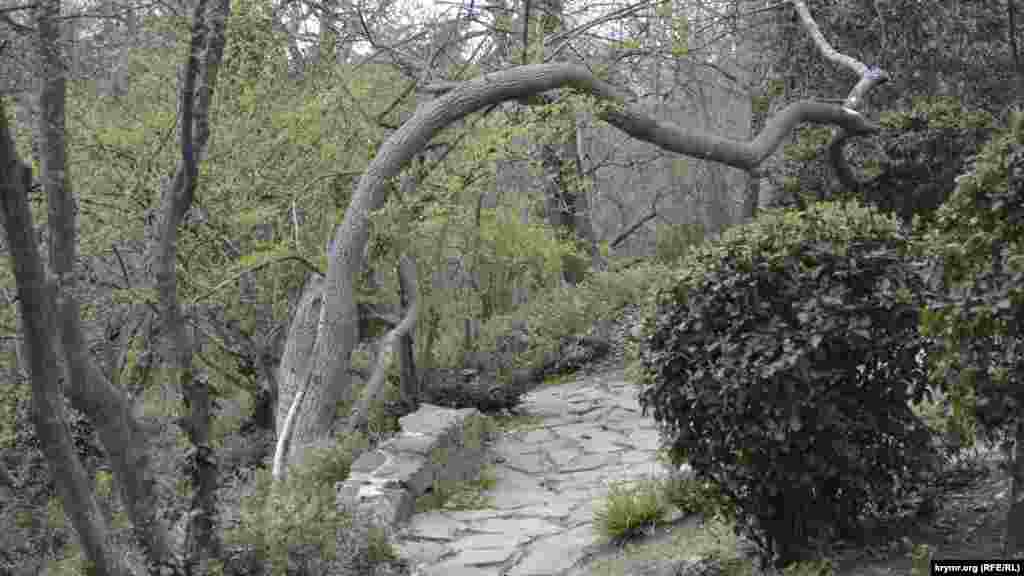 А любителей неторопливых прогулок манят живописные узкие аллеи, причудливо утопающие в зарослях деревьев&nbsp;