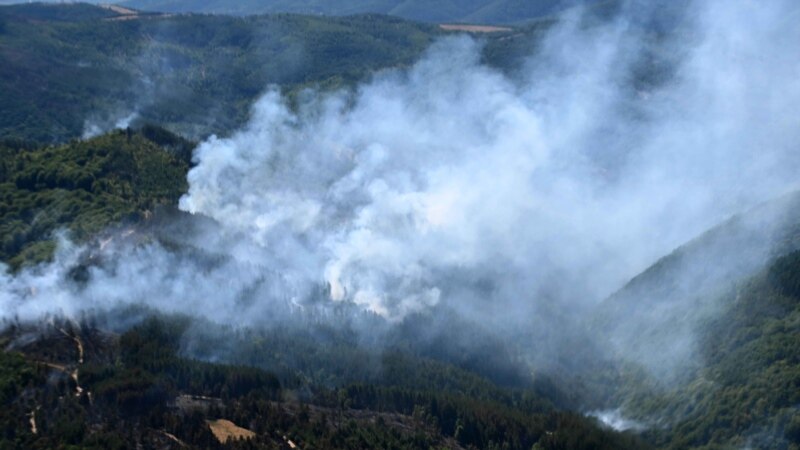 Ministar policije traži oštrije kazne za izazivanje požara u Srbiji