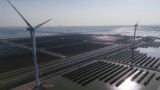 تأسیسات تولید برق بادی و خورشیدی در شرق چین