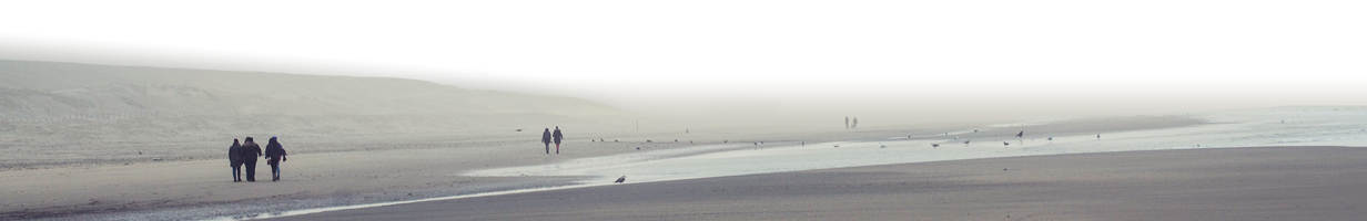 people walking on a beach