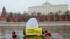 Экологи из РФ просят признать Greenpeace и WWF "иноагентами"