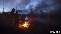 Мігранти із Іраку та Сирії на території Білорусі під кордоном із Польщею