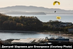 Акция Greenpeace у "Китовой тюрьмы" в 2021 году