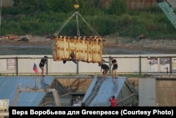 Выпуск косаток из "китовой тюрьмы" в Приморье