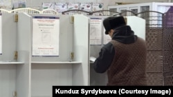 30-ноябрда өткөн парламенттик шайлоо. Иллюстрациялык сүрөт.