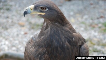Орыс тілінде жақсы секс көріңіз.