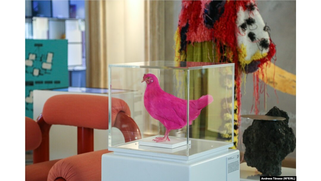 Produse reprezentative pentru designul românesc prezentate în cadrul unui pop-up concept store, la RDW Design House, cu ocazia evenimentului „Romanian Design Week”, deschis publicului și în Noaptea Muzeelor.