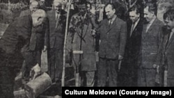 N.V. Podgornîi și I.I. Bodiul la plantarea pomului pe „Aleea Prieteniei” din Grădina Publica din Chișinău. „Cultura Moldovei”, 13 octombrie 1964. 