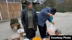 Даже после того, как количество госпредприятий, закупающих цитрусовые у фермеров, было увеличено в два раза, справиться с реализацией рекордного урожая все равно не удалось