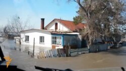 RFE/RL Video Roundup - Apr. 17