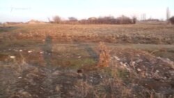 Մայրը, խորթ հայրն ու խորթ տատը կասկածվում են 2 տարեկան երեխային ծեծելով մահվան հասցնելու մեջ