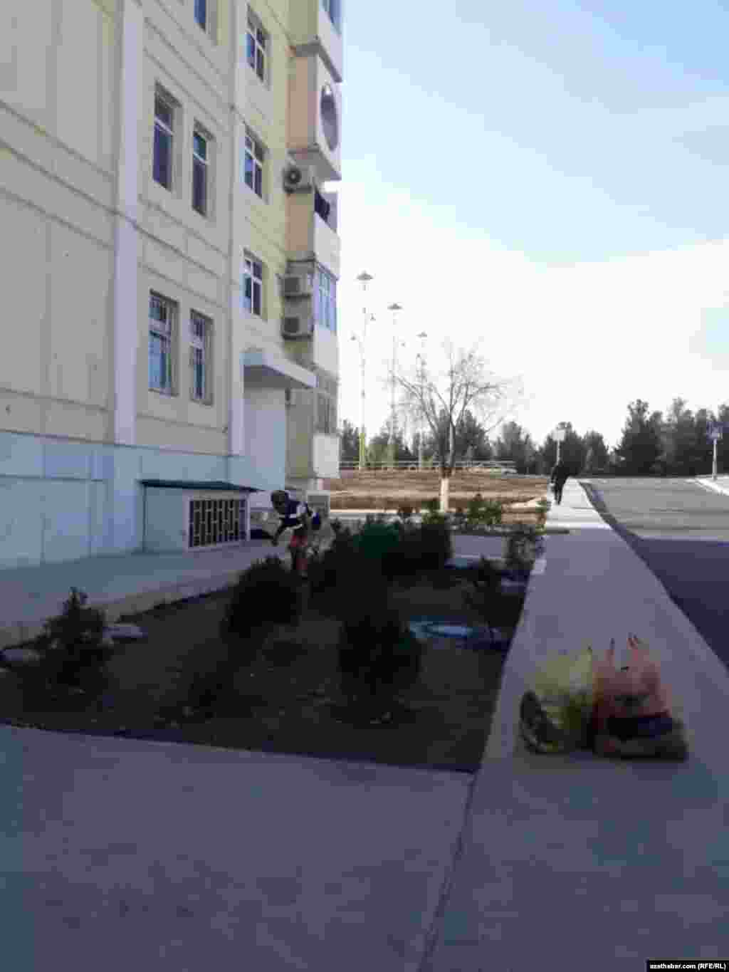 Aşgabadyň etrapçalarynyň birinde jemagat hojalygyna degişli edaranyň işgäri ýoluň gyrasynda arassaçylyk işlerini geçirýär.