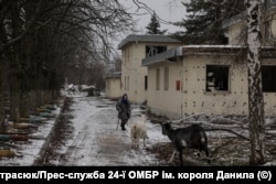 Жінка пасе кози біля будівель, пошкоджених російськими обстрілами, 18 грудня 2025 року