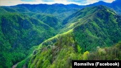 Romsilva administrează circa două treimi din totalul pădurilor României și parcurile naționale, cu statut protejat, din țară. 