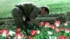 A counternarcotics official in a poppy field