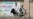 Kyrgyzstan: A Guide To The Parties Competing In The Parliamentary Elections
