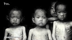 Голод в Казахской степи — геноцид или нет?