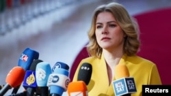 За словами Евіки Силіні, зустріч із міністром оборони з цього приводу відбудеться 11 травня