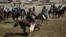The suicide bomber struck after a buzkashi match, an Afghan and Central Asian sport similar to polo but played with a goat carcass instead of a ball. (file photo)