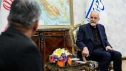 Iranian parliament speaker Mohammad Baqer Qalibaf (right) meets with Pakistan's Interior Minister Mohsin Naqvi in Tehran on May17