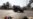 Heavy Fighting Continues In Tripoli; Diplomatic Activity Increases