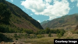 Үрмарал капчыгайы