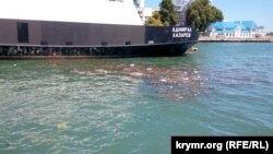 Сміття в акваторії моря в Севастополі після шторму