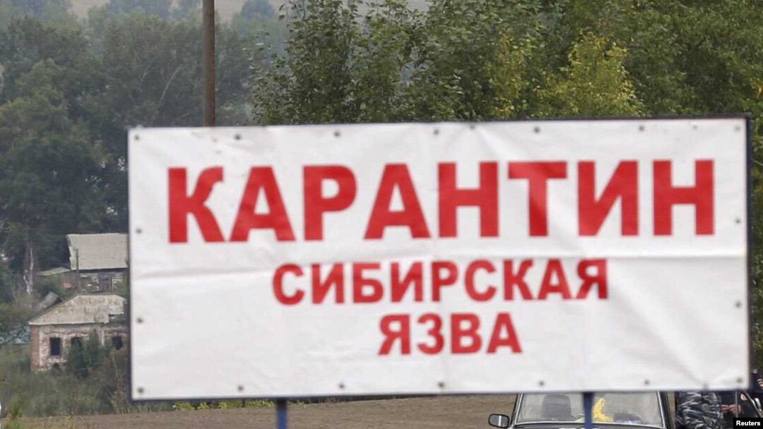 Иллюстрациялык сүрөт.
