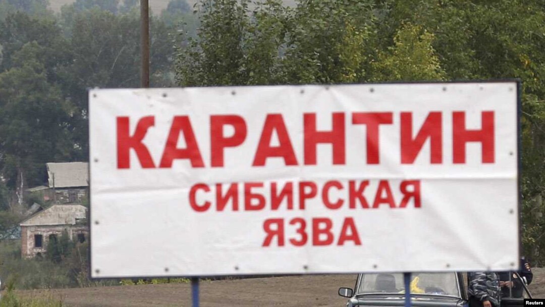 Иллюстрациялык сүрөт. 