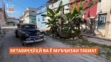 Дар Куба бетаваҷҷӯҳии мақомдорон муъҷизаи табиат ба вуҷуд овард