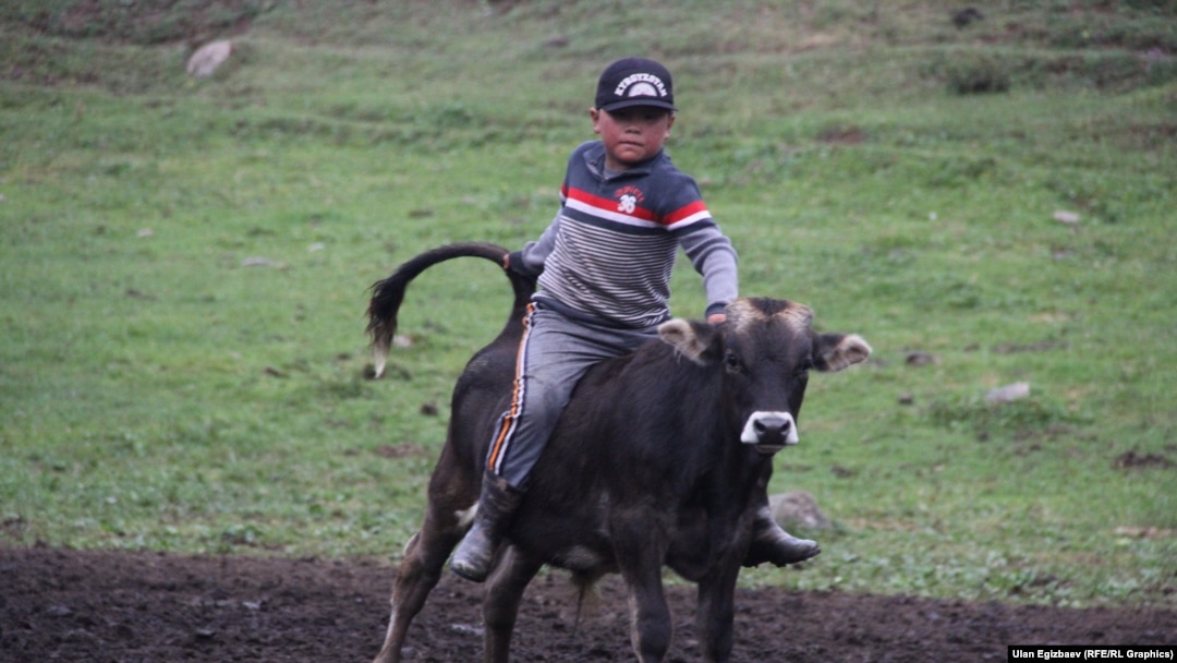 Каркыра жайлоосу