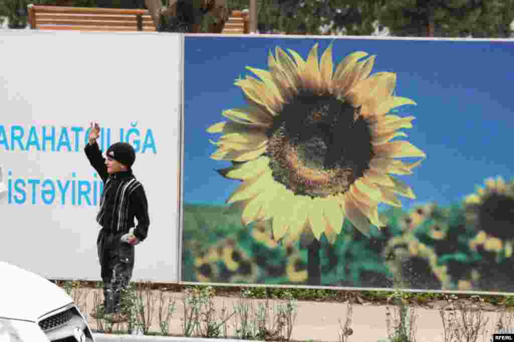 Balaca Rza və maşınlar. #31