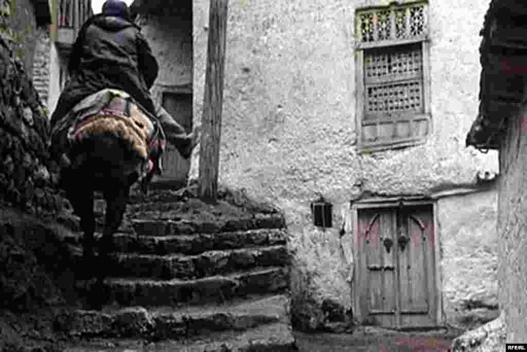 Бомпӯшиҳои рангини Душанбе #14