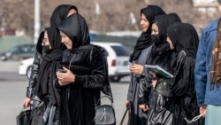 ازادي میلمه له نتکۍ زړن سره 