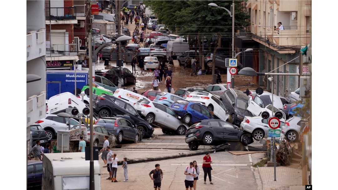 Испан қарғасының тізесінде анальды би