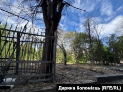 Дерева планують залишити, як є, як меморіал – символ незламності