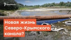 Новая жизнь Северо-Крымского канала? | Радио Крым.Реалии