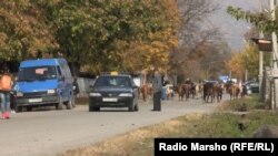 Село в Панкисском ущелье, где живут преимущественно грузинские кистинцы (этнические чеченцы).