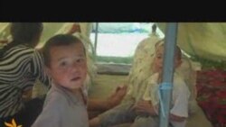 Кыргыз бозгундарынын абалы кандай?