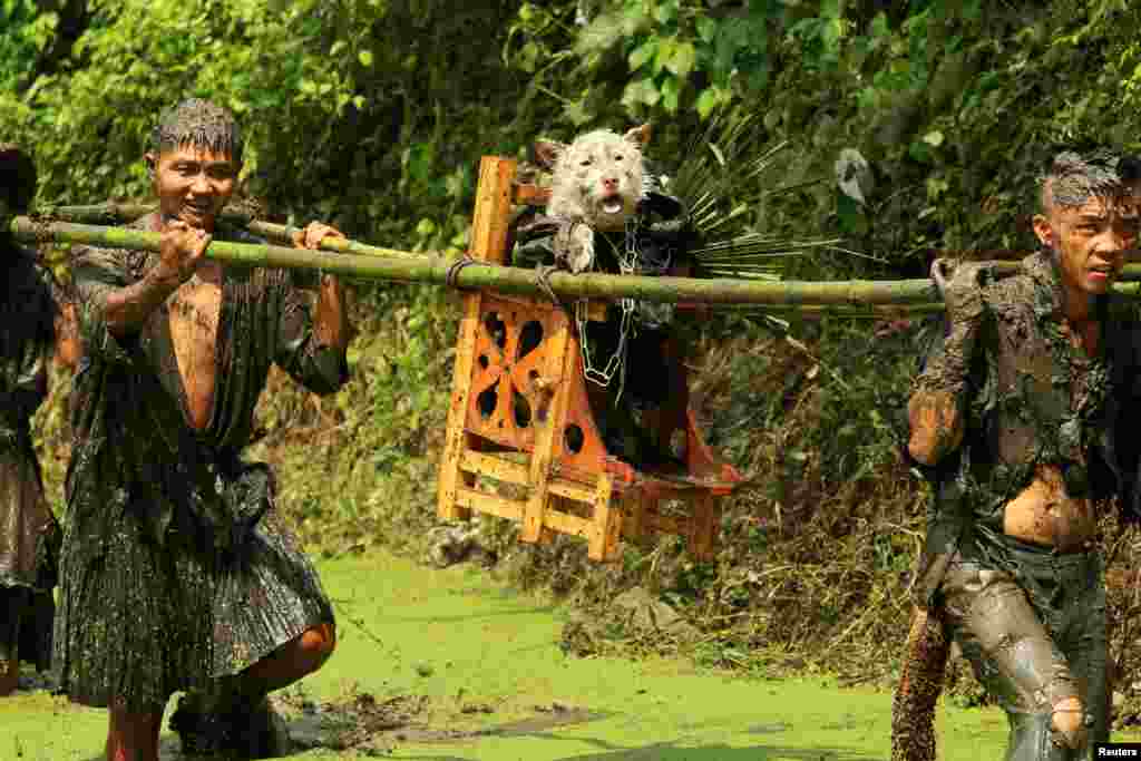 Men from the ethnic Miao minority in China's Guizhou Province carry a dog -- wearing a costume and seated on a stool as a form of respect because they believe canines found water for their ancestors -- during a local festival on August 15. (Reuters)