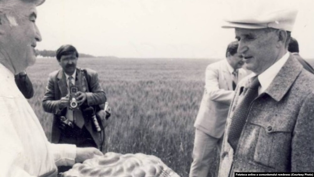 5 iunie 1986. Vizită de lucru la Cobadin, județul Constanța. Sursa: comunismulinromania.ro